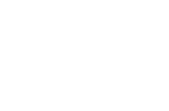 egudgets